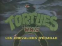 Image Tortues Ninja : Les Chevaliers d'écaille (Teenage Mutant Ninja Turtles)